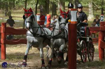 Heřmanův Městec 2018 - maraton