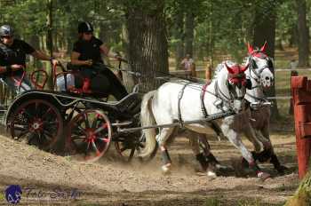 Heřmanův Městec 2018 - maraton