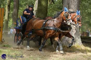 Heřmanův Městec 2018 - maraton