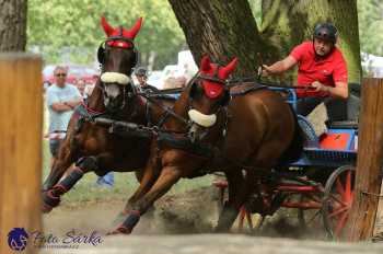 Heřmanův Městec 2018 - maraton