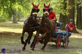 Heřmanův Městec 2018 - maraton