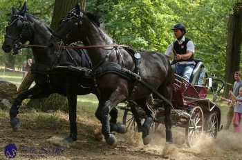 Heřmanův Městec 2018 - maraton