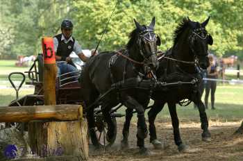 Heřmanův Městec 2018 - maraton