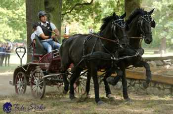 Heřmanův Městec 2018 - maraton