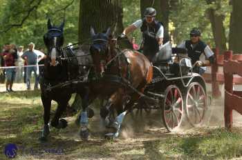 Heřmanův Městec 2018 - maraton