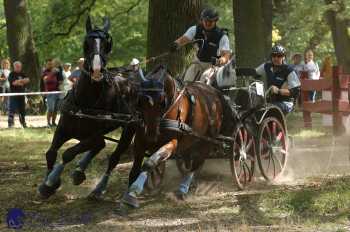 Heřmanův Městec 2018 - maraton
