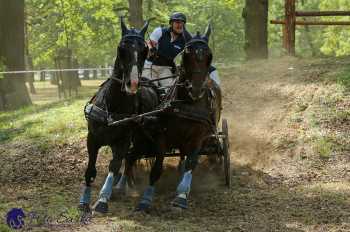 Heřmanův Městec 2018 - maraton