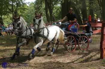 Heřmanův Městec 2018 - maraton