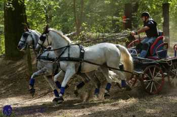 Heřmanův Městec 2018 - maraton