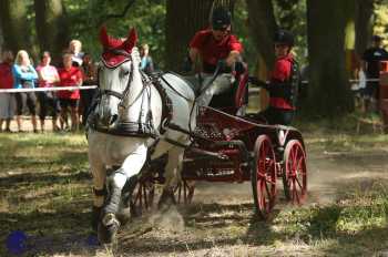 Heřmanův Městec 2018 - maraton