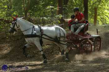 Heřmanův Městec 2018 - maraton
