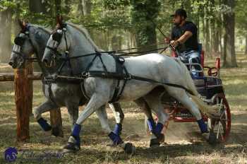 Heřmanův Městec 2018 - maraton