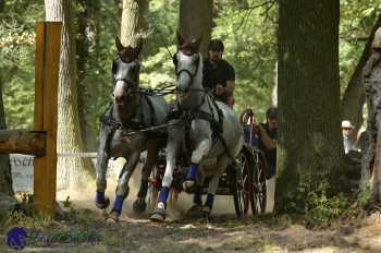 Heřmanův Městec 2018 - maraton