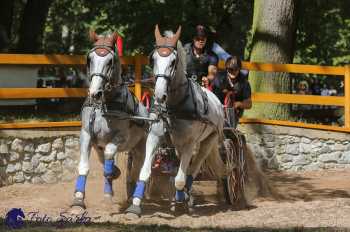 Heřmanův Městec 2018 - maraton