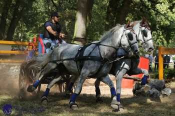 Heřmanův Městec 2018 - maraton