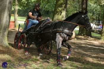 Heřmanův Městec 2018 - maraton