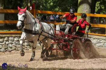 Heřmanův Městec 2018 - maraton