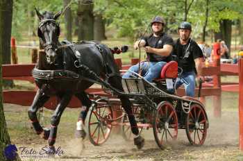 Heřmanův Městec 2018 - maraton