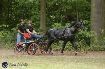 Heřmanův Městec 2018 - maraton