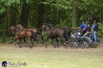 Heřmanův Městec 2018 - maraton