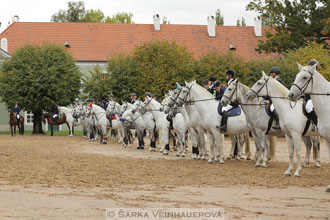 Hubertova jízda