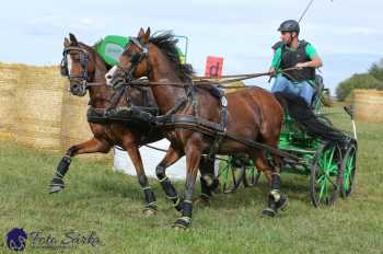 Humpolec 2018 - Finále ZP spřežení