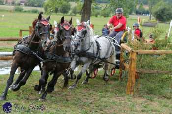 Humpolec 2018 - Finále ZP spřežení