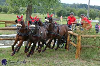 Humpolec 2018 - Finále ZP spřežení