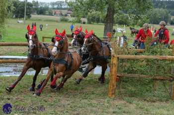 Humpolec 2018 - Finále ZP spřežení