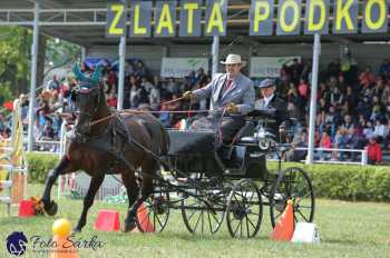 Humpolec 2018 - Finále ZP spřežení