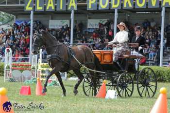 Humpolec 2018 - Finále ZP spřežení