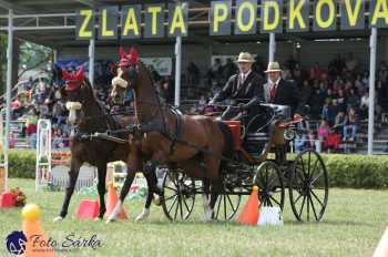 Humpolec 2018 - Finále ZP spřežení