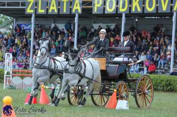 Humpolec 2018 - Finále ZP spřežení