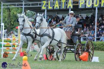 Humpolec 2018 - Finále ZP spřežení