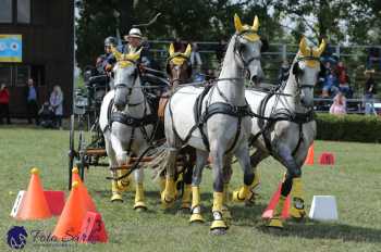 Humpolec 2018 - Finále ZP spřežení