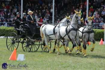 Humpolec 2018 - Finále ZP spřežení