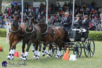 Humpolec 2018 - Finále ZP spřežení