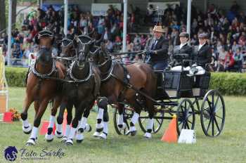 Humpolec 2018 - Finále ZP spřežení