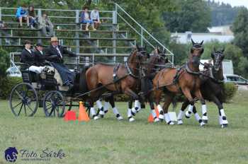 Humpolec 2018 - Finále ZP spřežení