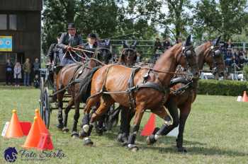 Humpolec 2018 - Finále ZP spřežení