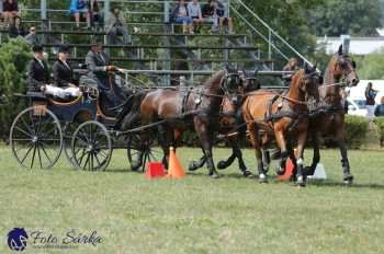 Humpolec 2018 - Finále ZP spřežení