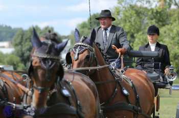Humpolec 2018 - Finále ZP spřežení