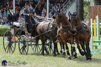 Humpolec 2018 - Finále ZP spřežení
