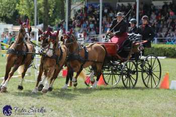 Humpolec 2018 - Finále ZP spřežení