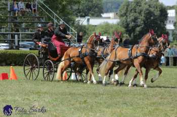 Humpolec 2018 - Finále ZP spřežení