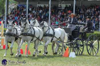 Humpolec 2018 - Finále ZP spřežení