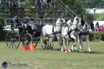 Humpolec 2018 - Finále ZP spřežení