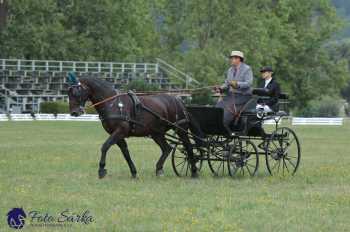 Humpolec 2018 - Finále ZP spřežení
