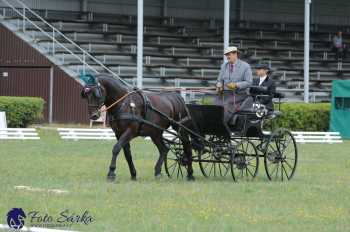 Humpolec 2018 - Finále ZP spřežení