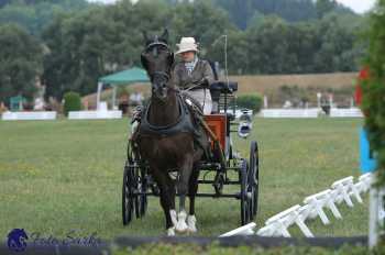 Humpolec 2018 - Finále ZP spřežení
